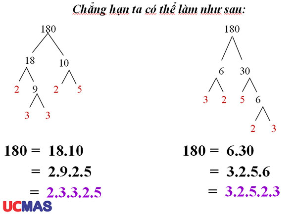 Bài toán tư duy lập trình phân tích số